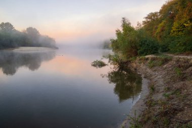 Sabah sis sonbahar ormandaki