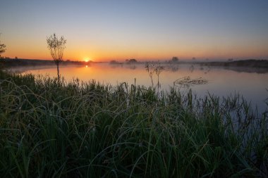 Ormanda güzel bir gün batımı