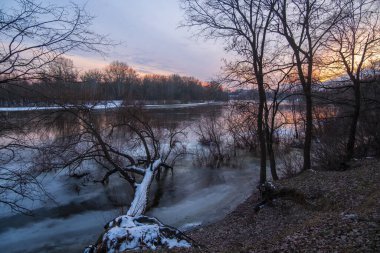 Karlı kış ormanlarında gün batımı