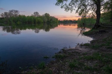 Ormanda güzel bir gün batımı