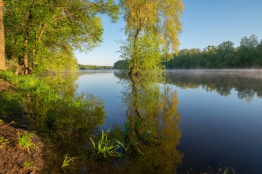 ormanda gölde sabah