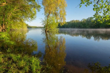 Göl ve orman. yaz günü