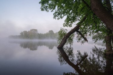 sisli sonbahar park sabah