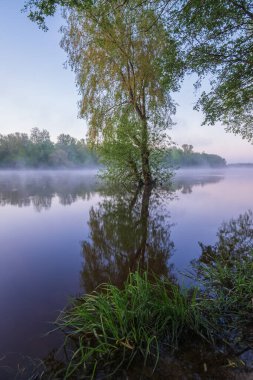 Ağaçlı bir gölün üzerindeki sabah manzarası