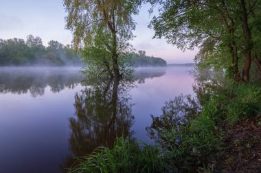 Sisli bir sabahta nehir