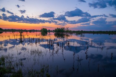 Günbatımında göl olan yaz manzarası.