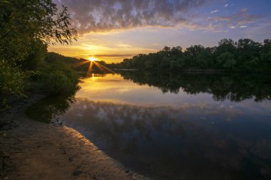 Gölde beyaz balıkçıl