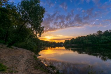 Gölde beyaz balıkçıl