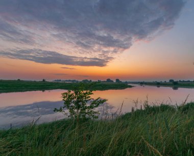 Gölde beyaz balıkçıl