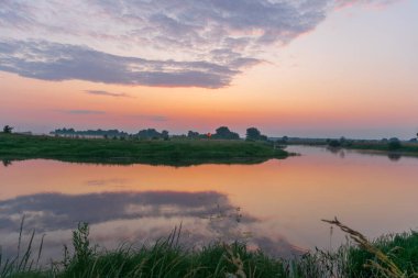 Gölde beyaz balıkçıl