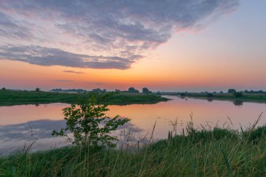 Gölde beyaz balıkçıl