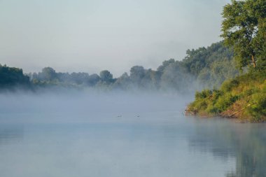 Ormandaki nehirde sabah sisi