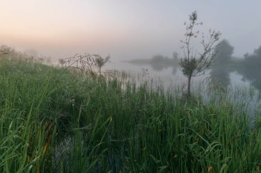 Nehirde sabah sisi, şafak manzarası