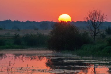 Gölün üzerinde güzel bir gün batımı