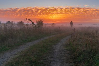 Tarlanın üzerinde gün doğumu