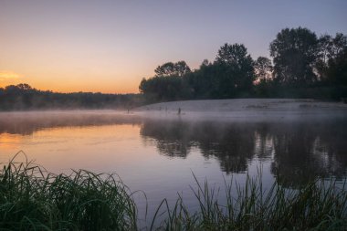 Sis ve ağaçlarla nehirde gün doğumu