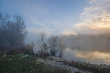 Sonbahar ormanında sabah.
