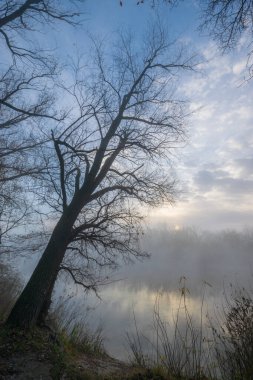 Ağaçlar ve nehirlerle dolu güzel sonbahar manzarası