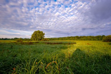 Nehrin üzerinde güzel bir günbatımı kırsalda.