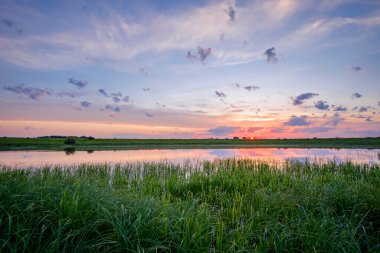 Bulutlu bir gölün üzerinde güzel bir günbatımı Yazın yeşil bir çimen tarlası.