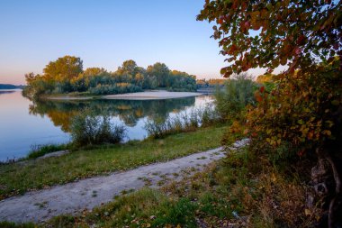 Sonbahar manzarası. Ağaçların arka planındaki göl.