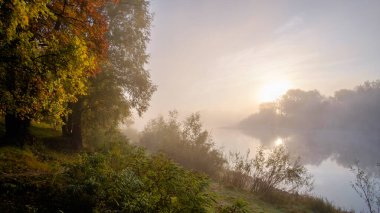 Sonbahar manzarası sabah sisinde.