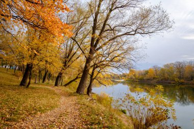 Renkli ağaçlar ve yapraklarla dolu sonbahar manzarası