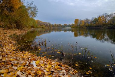 bir gölet, güzel sonbahar yatay