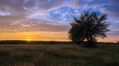 Ormanda gün doğumu, güzel manzara, doğa.