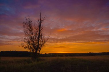Gölün üzerinde güzel bir gün batımı