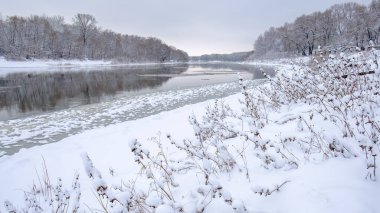Karla kaplı ağaçlarla kaplı kış manzarası