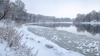 Ormanda nehir olan kış manzarası