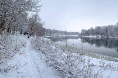 Ağaçlar kış nehir manzarası kar ile kaplı
