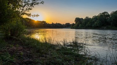 Ormanda gün batımı
