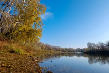Sonbahar manzarası. Sonbahar mevsiminde nehir ve orman