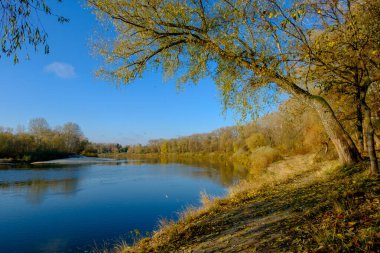 Nehir ve ağaçlarla dolu sonbahar manzarası