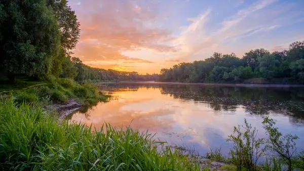 Yaz ormanında gün batımı. Nehir kıyısı
