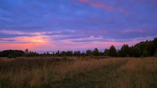 Yazın tarlada renkli gündoğumu