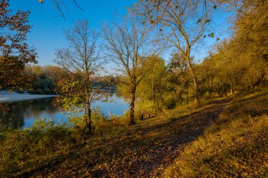 Sonbahar yatay, parkta bir göl