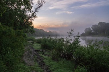 Ormandaki gölde güzel bir gün batımı