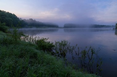 Nehir kıyısında sabah sisi.