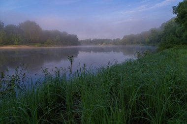 Nehir, sis ve ağaçlarla dolu yaz manzarası.