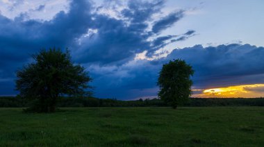 Ormanın üzerinde güzel bir gün batımı