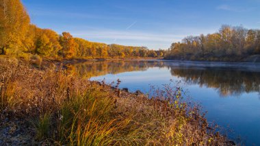 sonbahar manzarası ile ağaçlar ve Nehri