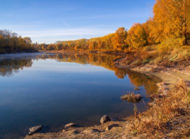 Renkli ağaçlar ve nehirlerle sonbahar manzarası