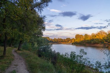 Ormanda güzel bir gün batımı