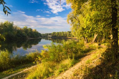 Ağaçlarla, nehirlerle ve ormanlarla dolu yaz manzarası