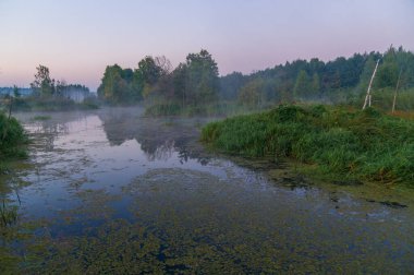 Sabah güzel bir manzara.