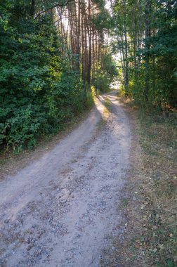 Kırsalda yol