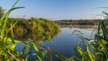 Akşamları ağaçlarla çevrili güzel bir nehir manzarası.